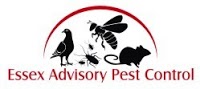 Essex Advisory Pest Control 372719 Image 4